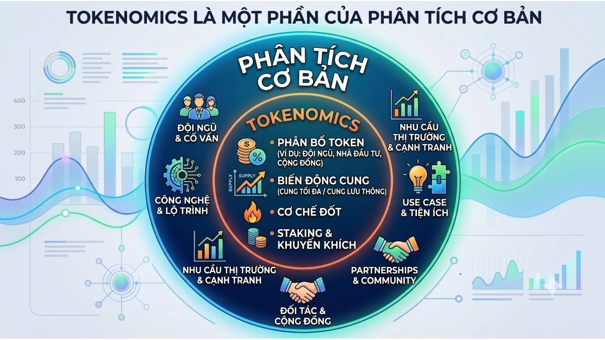 Sự khác nhau giữa Tokenomics và Fundamental Analysis Tokenomics là 1 phần của Fundamental Analysis