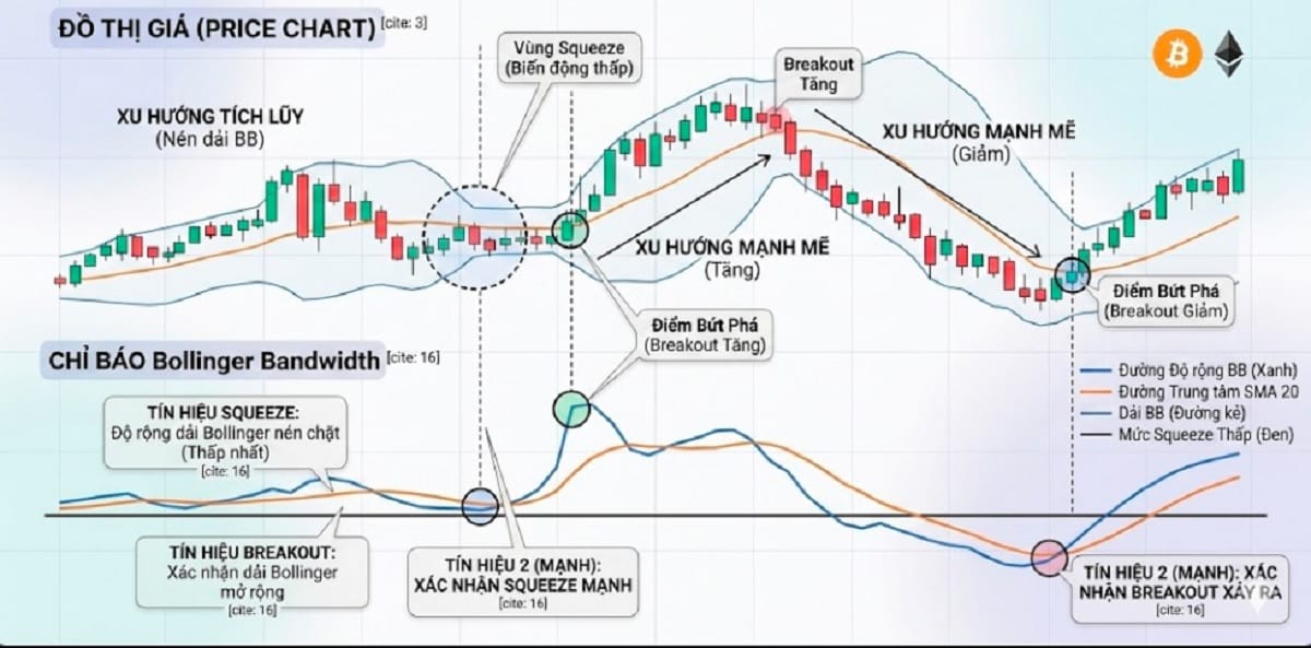 Bollinger Bands Squeeze