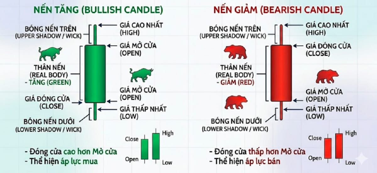 Cấu tạo nến