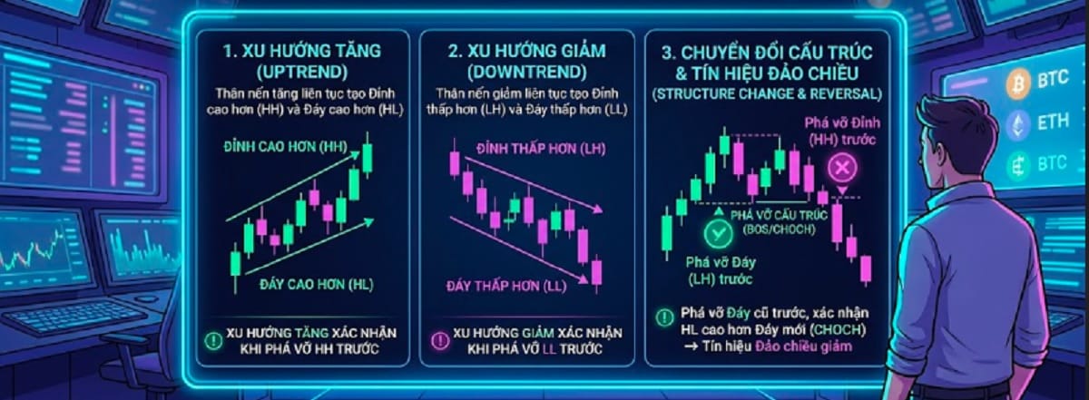 Cấu trúc thị trường
