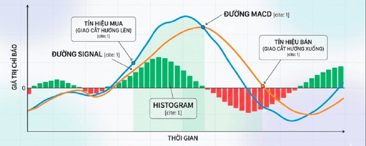 Thành phần chỉ báo MACD