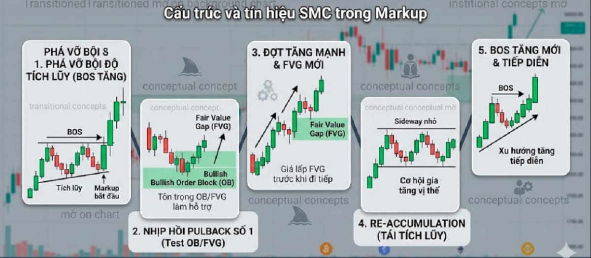 Pha 2 - Wyckoff: Tăng trưởng (Markup)