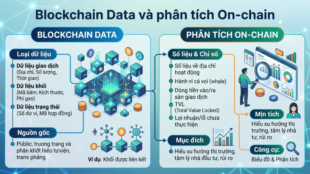 Blockchain Data và Phân tích On-chain