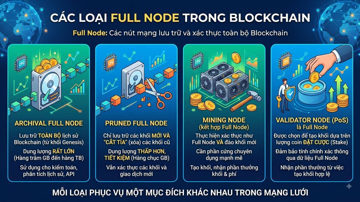 Full Node là gì? Vai trò và cách chạy Full Node Blockchain 3 Các loại Full Node