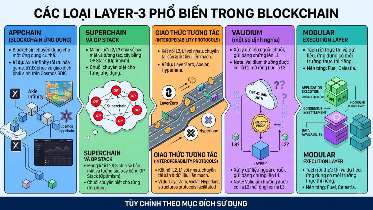 Các loại layer-3 phổ biến