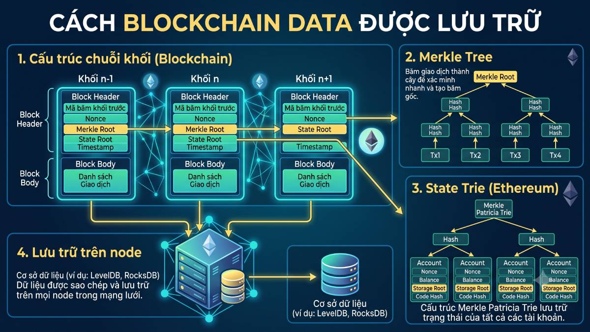 Cách Blockchain Data được lưu trữ