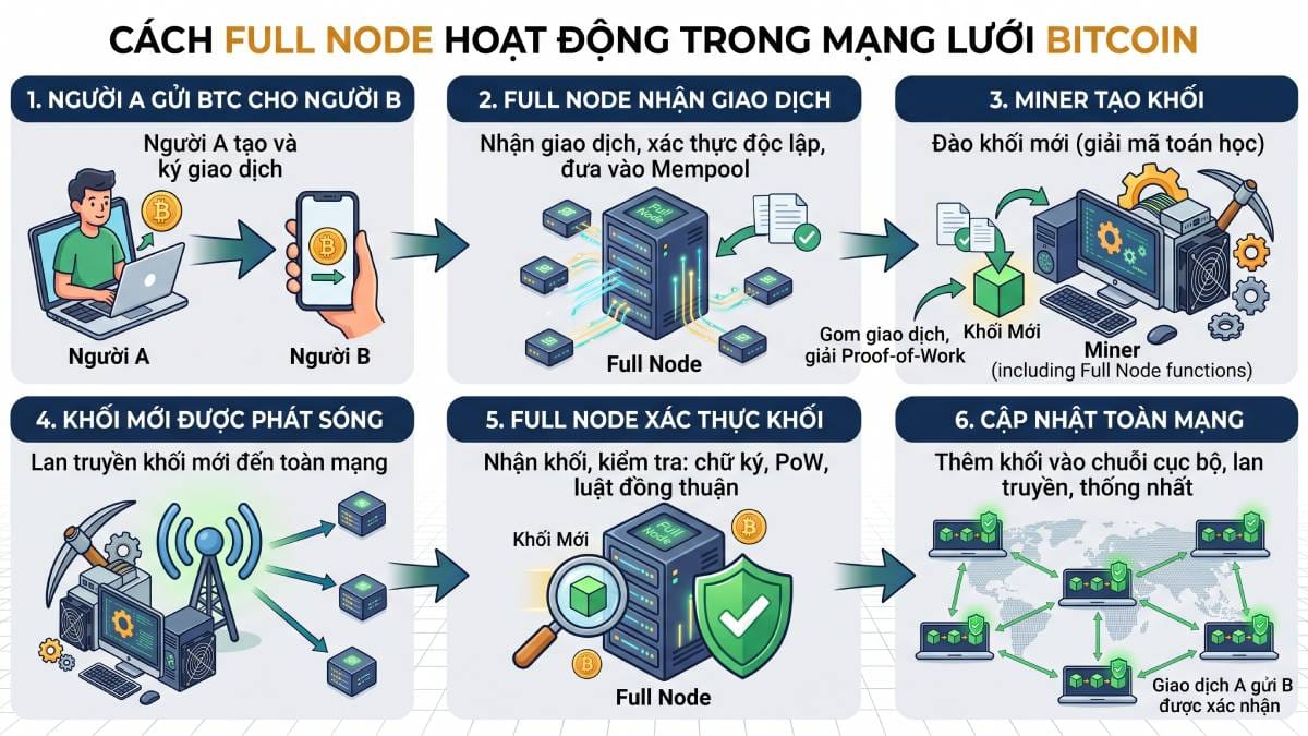 Cách Full Node hoạt động trong mạng lưới