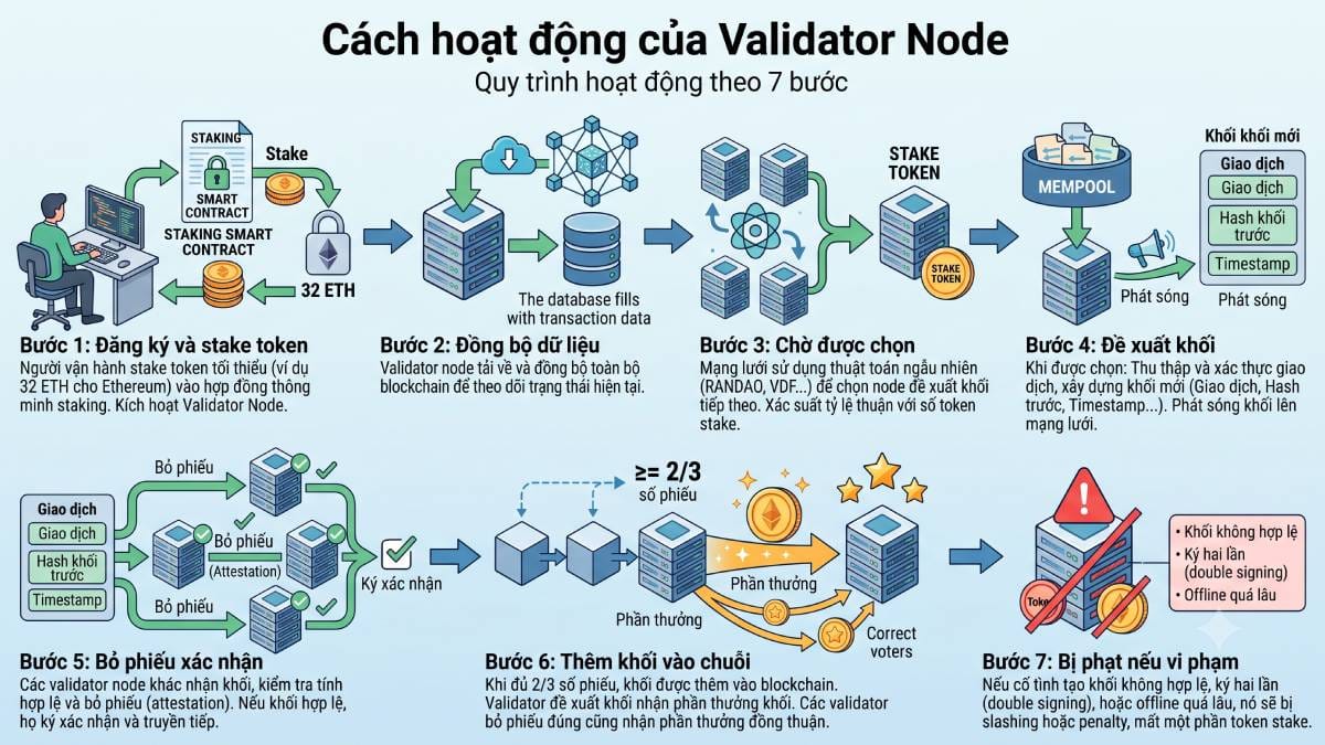 Cách hoạt động của Validator Node