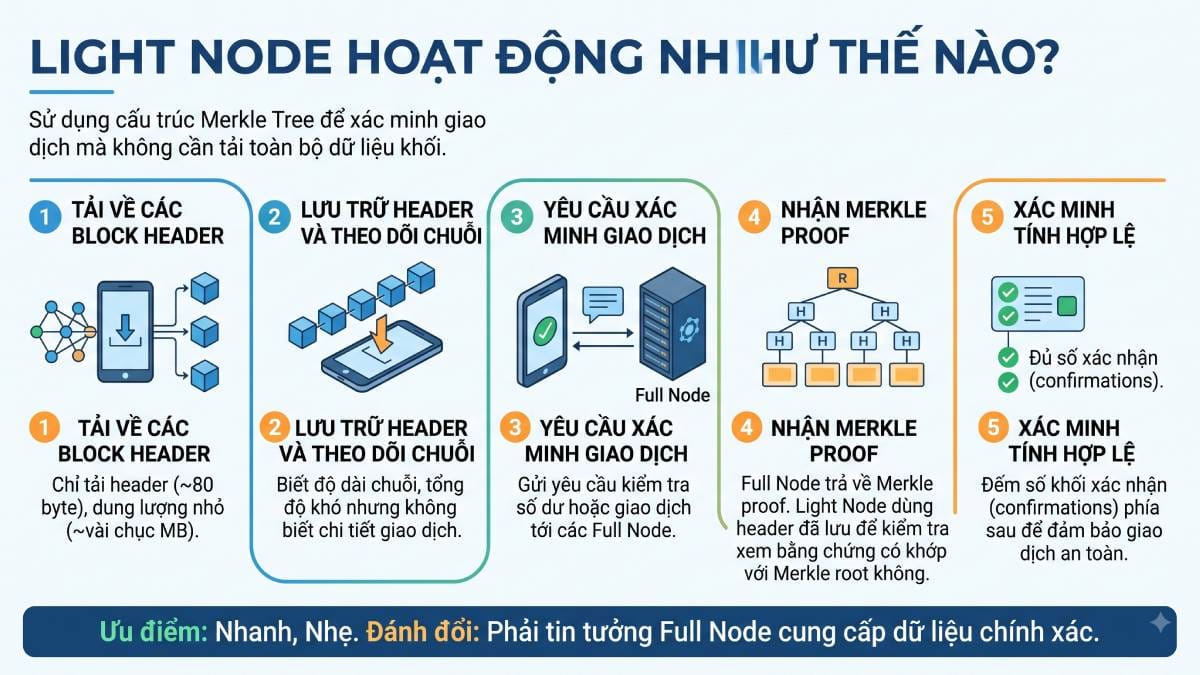Light Node là gì? Node nhẹ trong Blockchain hoạt động thế nào? 2 Light Node hoạt động như thế nào