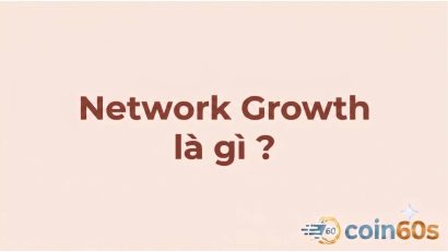 Network Growth là gì? Hướng dẫn phân tích tăng trưởng mạng lưới on-chain