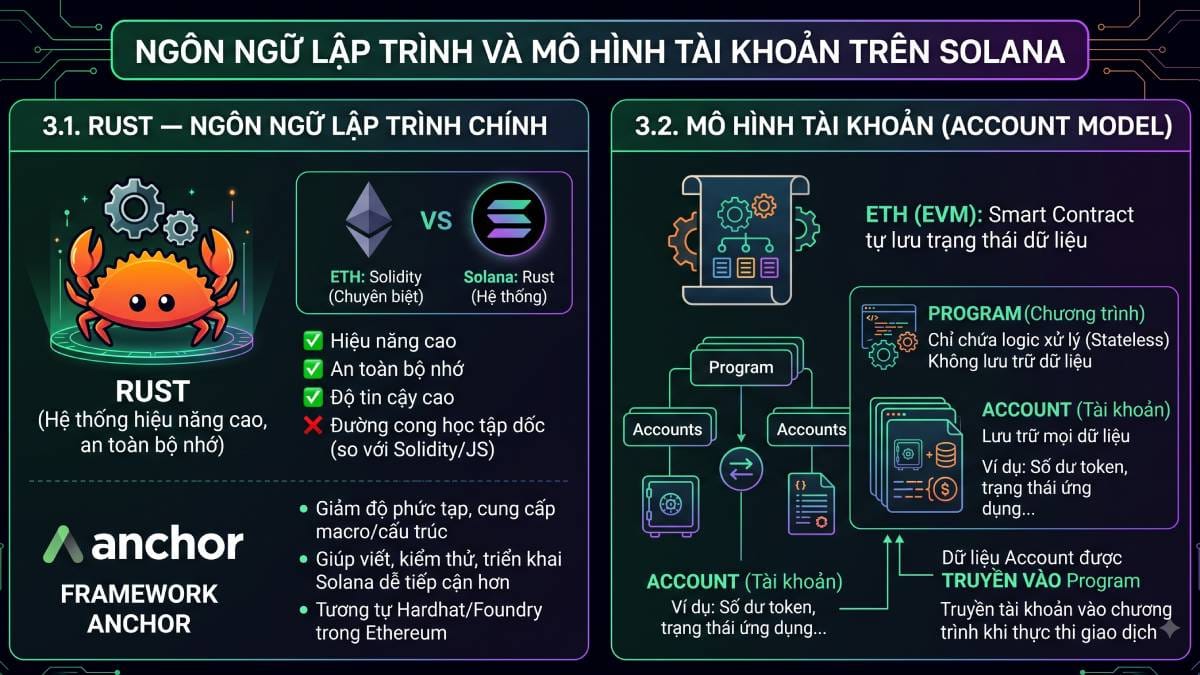 Hệ sinh thái Solana A-Z (Phần 1) 3 Ngôn ngữ lập trình và mô hình tài khoản của Solana