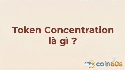 Token Concentration là gì? Hướng dẫn phân tích mức độ tập trung token