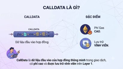 Calldata là gì? Vai trò trong giao dịch Ethereum
