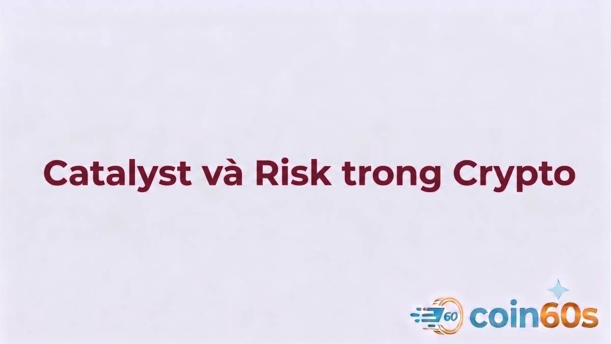 Catalyst và Risk trong Crypto