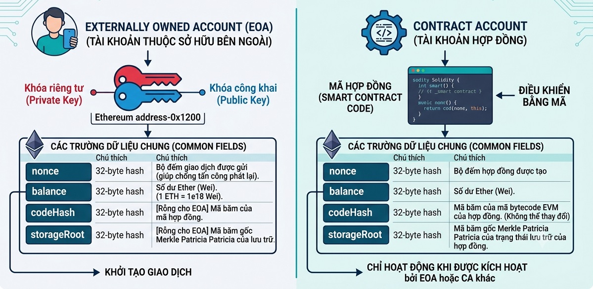 Account Model là gì? Ethereum dùng Account Model thế nào? 2 Cấu trúc tài khoản ETH