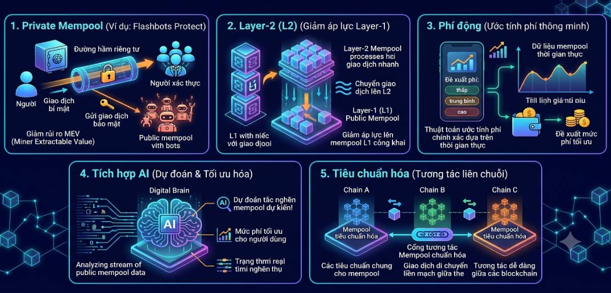 Xu hướng của Mempool