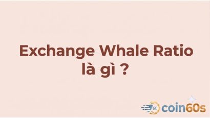 Exchange Whale Ratio là gì? Hướng dẫn phân tích tỷ lệ cá voi sàn giao dịch A-Z