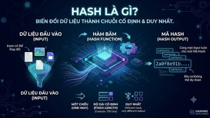 Hash là gì? Vì sao Hash quan trọng với Blockchain?