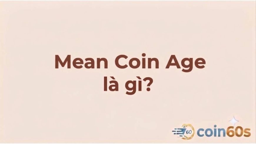 Mean Coin Age là gì? Hướng dẫn phân tích tuổi coin trung bình on-chain