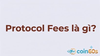 Protocol Fees là gì? Cách đọc phí giao thức Crypto & DeFi