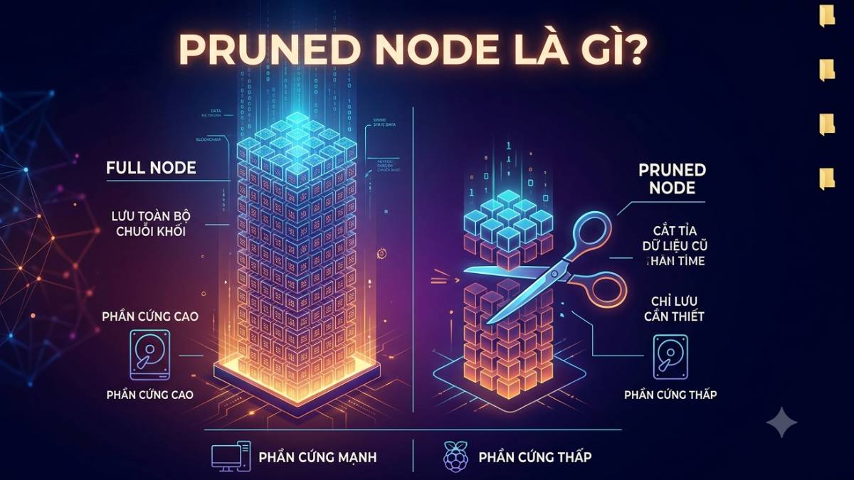 Pruned Node