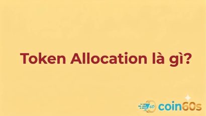 Token Allocation là gì? Cách đọc & Đánh giá Token Allocation
