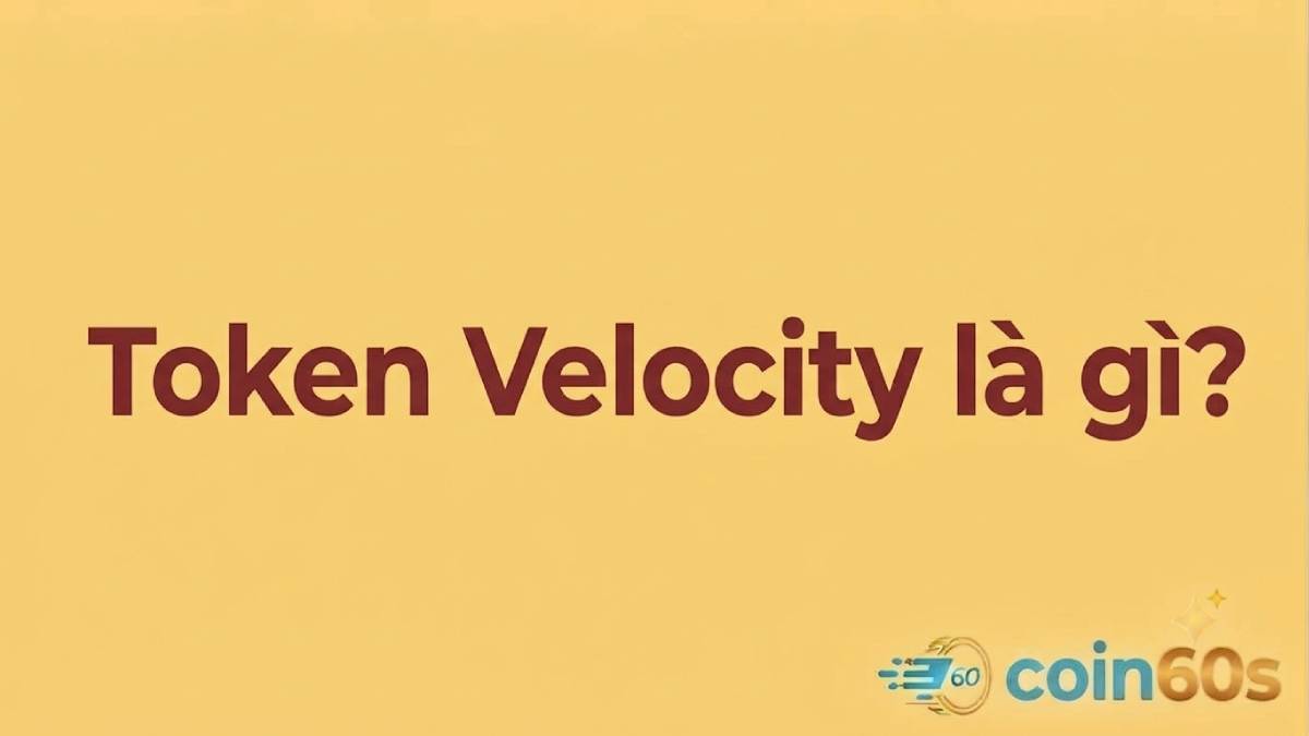 Token Velocity là gì? Tốc độ lưu thông token & Tác động giá 1 Token Velocity