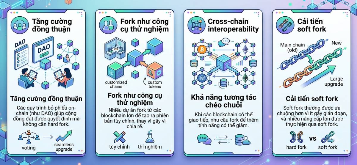 Định hướng Fork