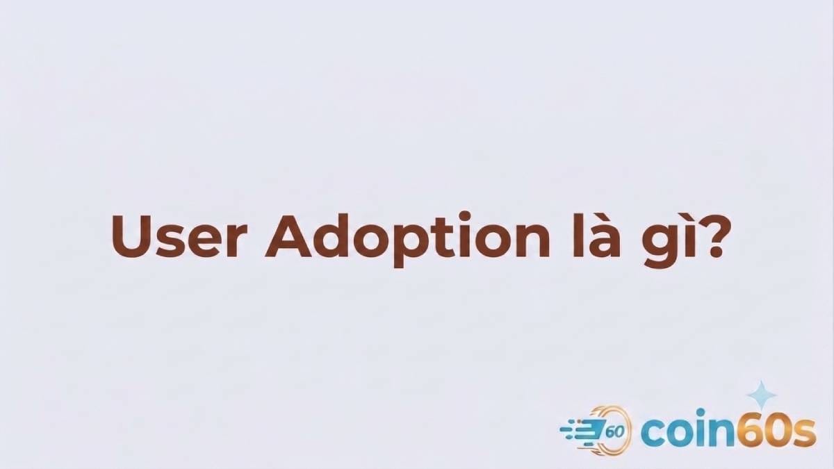 User Adoption