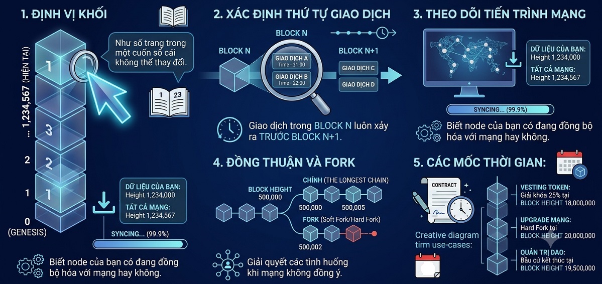Vai trò của Block Height