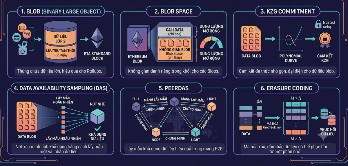 Các thành phần chính của Danksharding