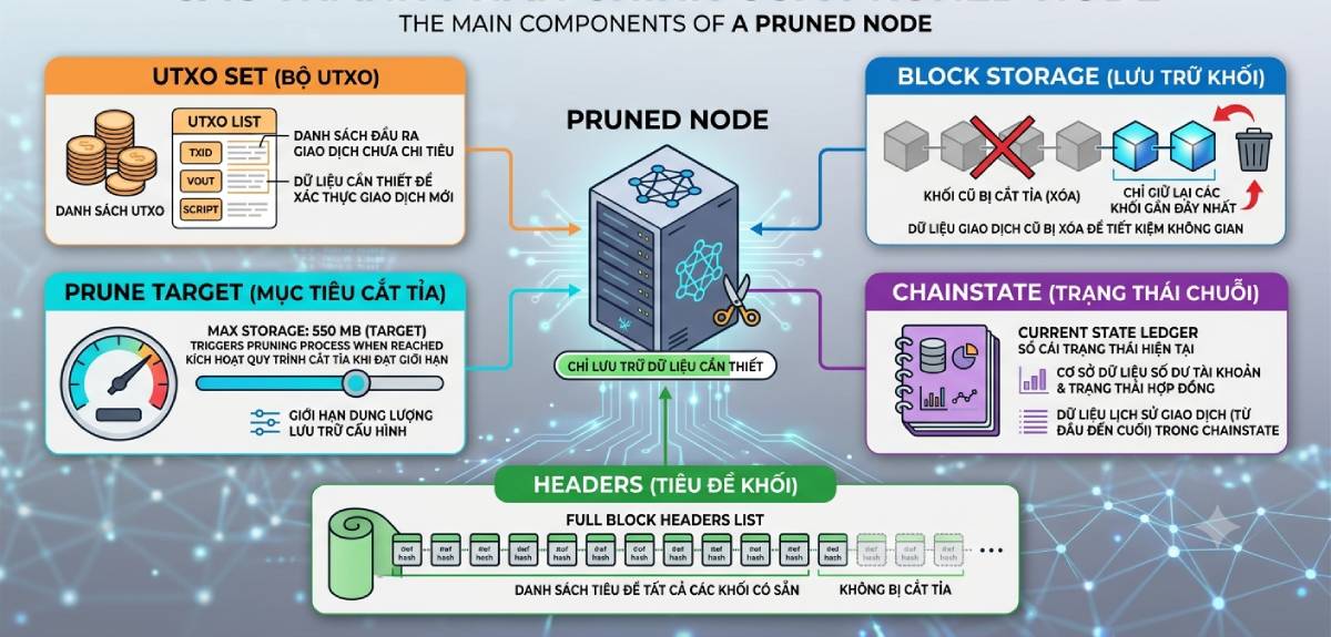 Các thành phần của Pruned Node