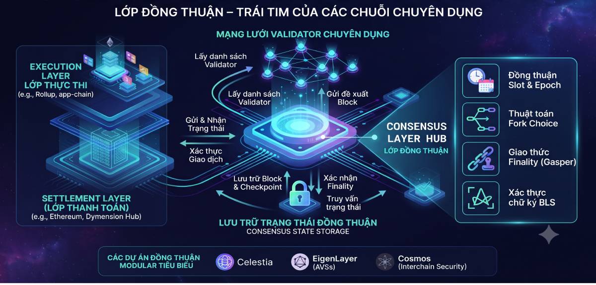 Consensus Layer trong Modular Blockchain
