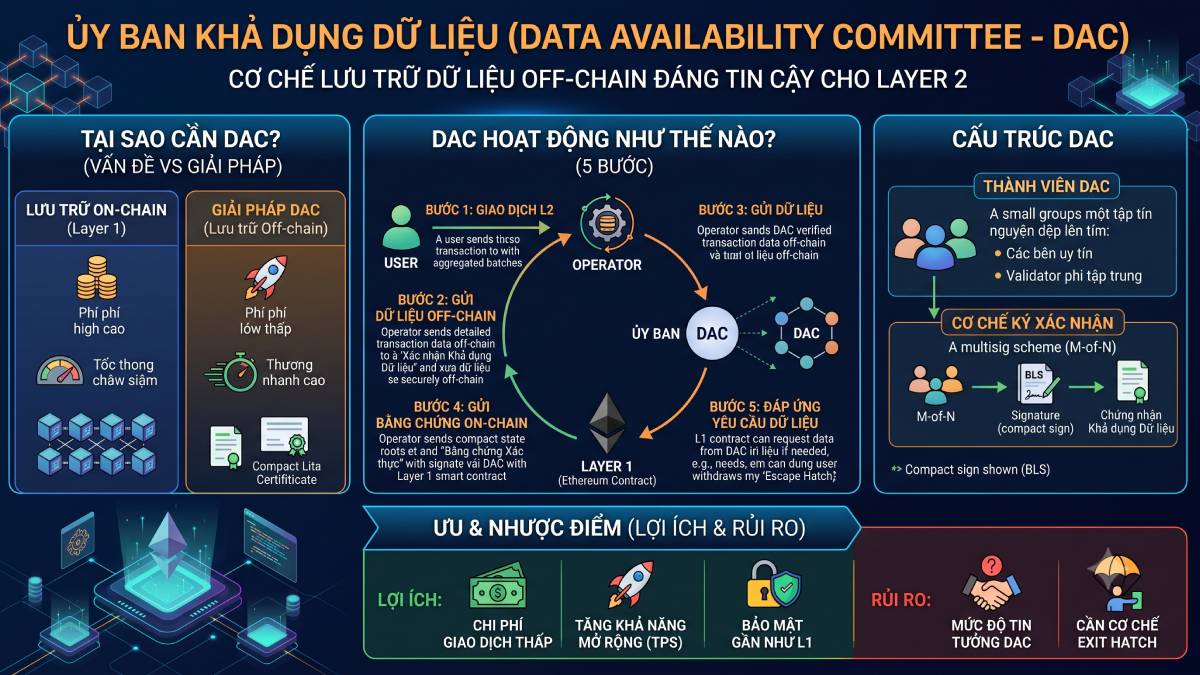 Data Availability Committe (DAC)
