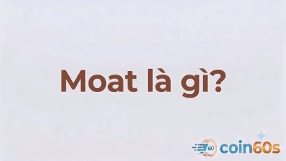 Moat trong Crypto là gì? Hướng dẫn toàn diện về lợi thế cạnh tranh bền vững trong Web3