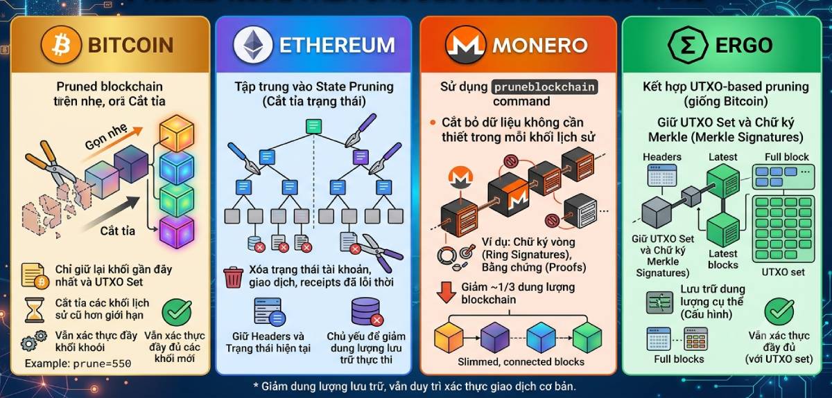 So sánh Pruned Node